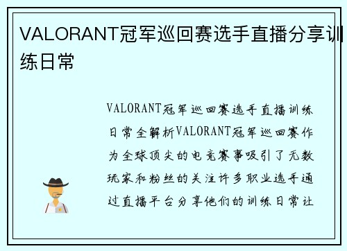 VALORANT冠军巡回赛选手直播分享训练日常