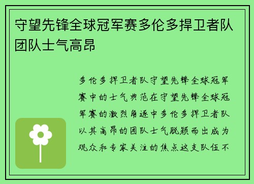 守望先锋全球冠军赛多伦多捍卫者队团队士气高昂