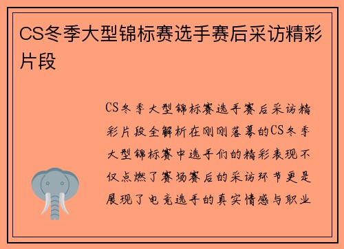 CS冬季大型锦标赛选手赛后采访精彩片段